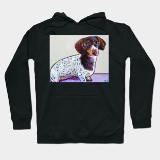 Buttercup the Adorable Dachshund by Robert Phelps Hoodie